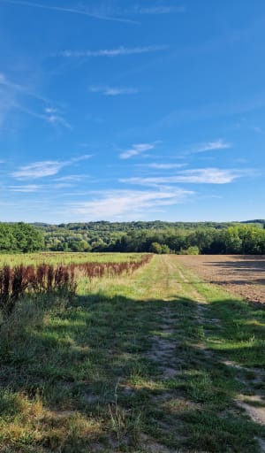 Autour du château du Marais et vallée de l'Orge - Saint-Chéron - 4