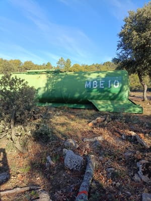 Balade dans les bois sur les hauteurs de Moissac Bellevue. - Pat - 3