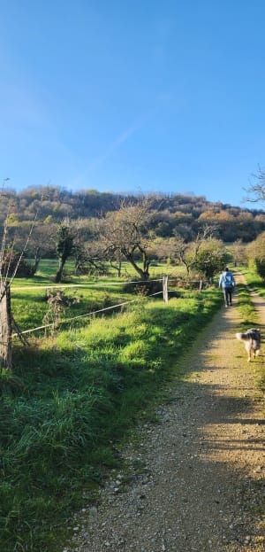 Colline de Sion - laetitia - 2