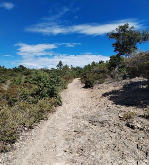 Balade dans L'Esterel, depuis Saint-Raphaël, par le carrefour de Roche Noire - Saint-Raphaël - 6