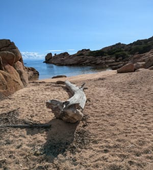 Capu di Fenu et lumières de l'Île de Beauté - Bonifacio - 47