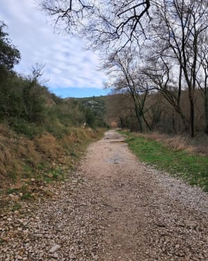 Découverte de la source de l'Avy - Grabels - 12