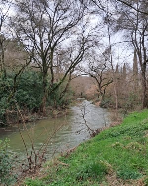 Découverte de la source de l'Avy - Grabels - 14