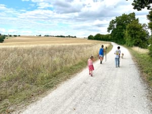 Chemin de Carcès à Bouloc - Bouloc-en-Quercy - 6
