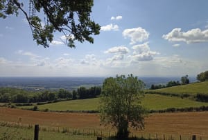 Balanod - l’Aubepin - Saint-Amour - 9
