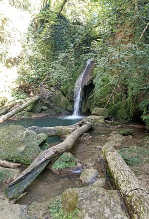 Balanod - l’Aubepin - Saint-Amour - 12