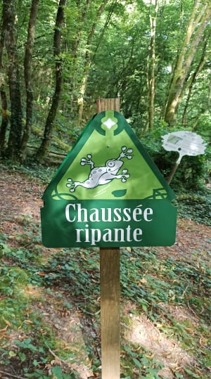Boucle Givray Clain entre eau et forêt - Ligugé - 14