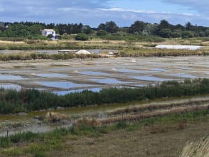 Balade entre village et plage - Noirmoutier-en-l'Île - 11