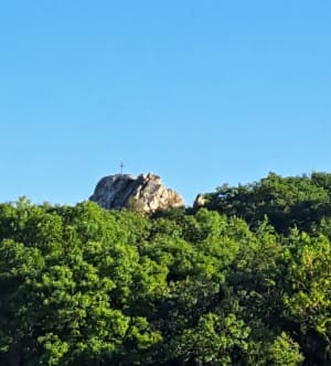 Chemins de Loire à Ancenis-St-Géréon - Ancenis-Saint-Géréon - 12