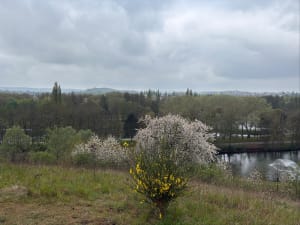 Balade au parc de la Glissoire - Avion - 6
