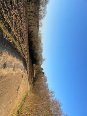 Petite randonnée sur les hauteurs de Sedan, par Croix Mac Mahon - Oriane - 2