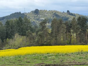 Au pied du Pié à pied et paysage bucolique - La Chomette - 2