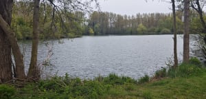 Biache Saint-Vaast - la Kwarta - Biache-Saint-Vaast - 6