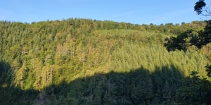 Boucle du Gouffre d'enfer - Saint-Étienne - 18