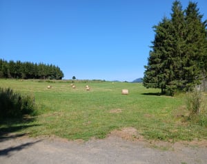 Découverte du Lac de Saint-Front et massif du Mézenc en fond - Saint-Front - 26