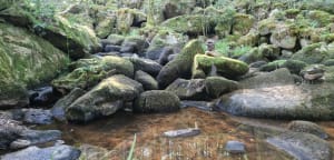 Sauvages landes de Locarn et impétueuses gorges du Gorong - Locarn - 8