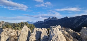 Les dentelles à Gigondas - Freddy - 24