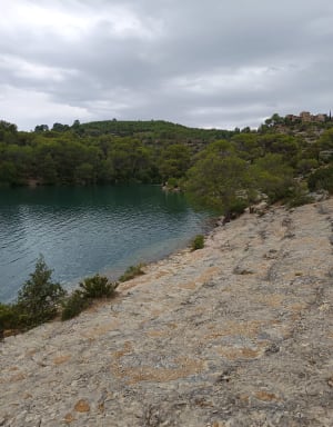 Petite randonnée le long du lac d'Esparron - Esparron-de-Verdon - 6