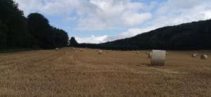 Autour de Renty par le sentier du Charles Quint - Renty - 6