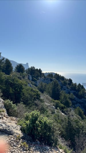 Hauts de Luminy et panorama grandiose - Luminy - 10