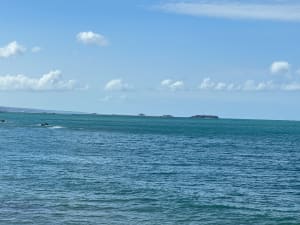 Les sentiers du Becquet - Cherbourg-en-Cotentin - 24
