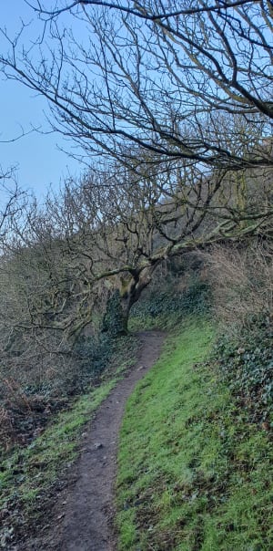 Les hauts des Rosaires - Plérin - 7