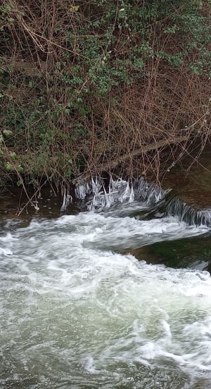 Par-dessus le Furon depuis Charette et Étang de Montclus - Charette - 2