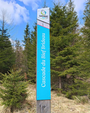 Le tour De La Roche et la cascade du Bief Brideau. - Châtelblanc - 6