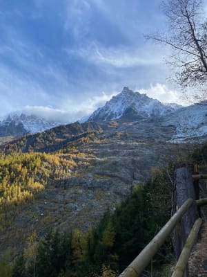Bain de forêt et se rapprocher du glacier des Bossons - Chamonix-Mont-Blanc - 5