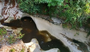 Gorges de Thurignin et Cascade de Cerveyrieu - Valromey-sur-Séran - 3