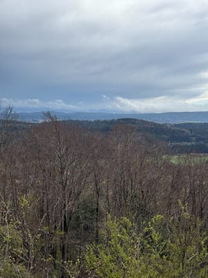 Randonnée au pic de l'Aigle et belvédère des 4 lacs - Les Rollets, La Chaux-du-Dombief - 14
