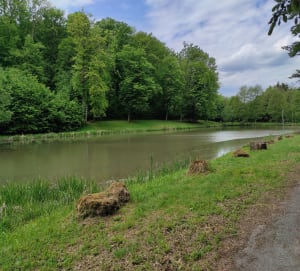 Autour de Klang, une agréable balade dans les bois - Klang - 5