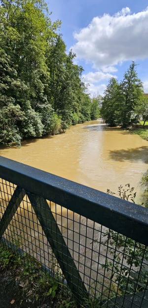 Un ptit coin de paradis à Guérard La Celle sur Morin - Guérard - 7