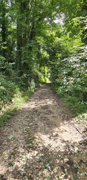 Un ptit coin de paradis à Guérard La Celle sur Morin - Guérard - 9