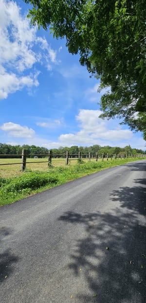 Un ptit coin de paradis à Guérard La Celle sur Morin - Guérard - 11