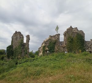 Belle balade avec vue sur le lac de Vouglans - La Tour-du-Meix - 34
