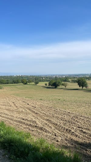 Habsheim et évasion dans une nature complice - Habsheim - 2