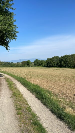 Habsheim et évasion dans une nature complice - Habsheim - 3