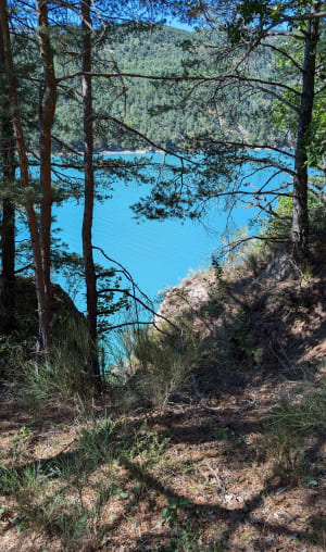 Saint-Julien-du-Verdon et les eaux émeraude du lac - Saint-Julien-du-Verdon - 12
