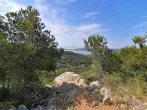 Gorges de la Goutine et grottes préhistoriques - Gruissan - 6