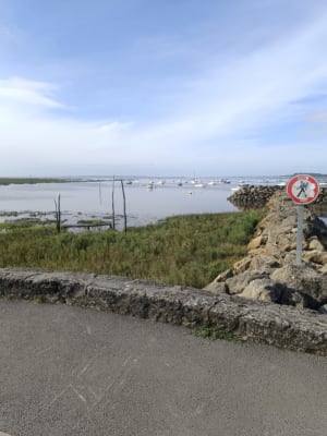 Une paisible boucle à vélo autour d'Arès - Arès - 2