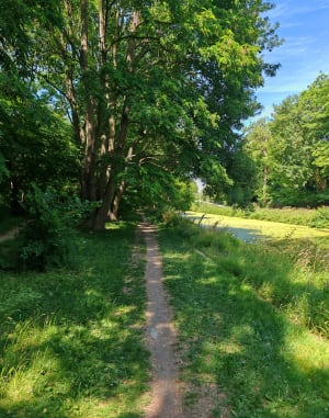 Canal de Tourcoing - Tourcoing - 5