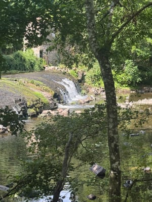 Vallée du Thouet entre Gourgé et Saint-Loup - Gourgé - 7