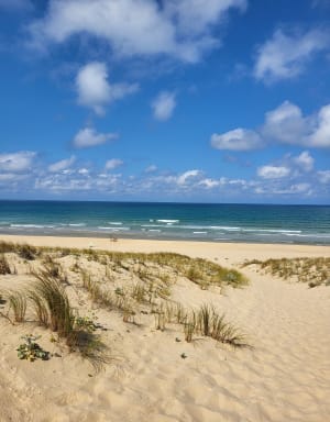 Le Porge Océan et sa plage - Le Porge - 5