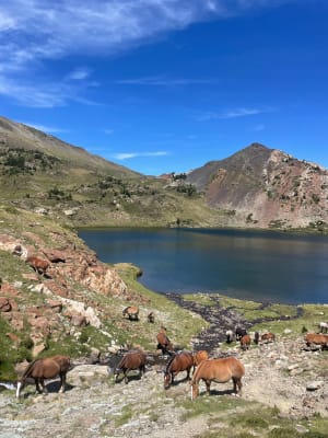 Randonnée des 12 lacs et cadre enchanteur au pied du Pic Carlit - Font-Romeu-Odeillo-Via - 27