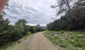 Pourols et les Rabassières - Saint-Mathieu-de-Tréviers - 6