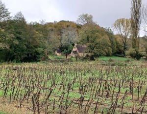 Boucle des moulins (Saint-Geniès) - Saint-Genies - 23