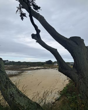 Grand tour de l'île de Batz et beauté de ses plages - Île de Batz - 7