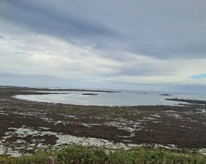 Grand tour de l'île de Batz et beauté de ses plages - Île de Batz - 8