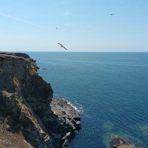 Rondleiding over het eiland Groix en wilde baaien - Aurelien - 2
